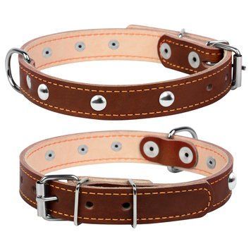 Нашийник подвійний CoLLaR з прикрасою clr01426 фото