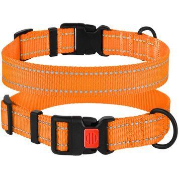 Нашийник для Собак BronzeDog Active Нейлоновий зі Світловідбиттям та Пластиковою Пряжкою Помаранчевий S brks50/1304/Т фото