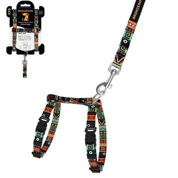 Шлея з Поводком для Котів та Дрібних Собак BronzeDog Urban Етнічна Ментол 2XS brks57/1383Б/Т фото