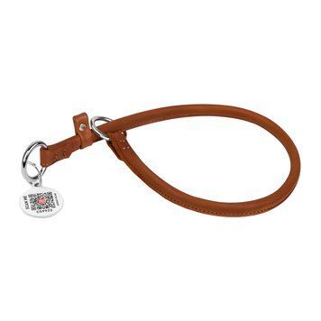 Нашийник-зашморг WAUDOG Soft ривковий clr75096 фото