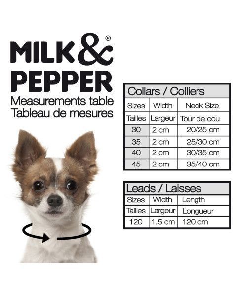 Нашийник шкіряний для собак Milk&Pepper Леопард, Розмір 25x1 hltdg413525 фото