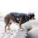 Курточка для собак WAUDOG Clothes малюнок "Рік та Морті 2", XS22, В 33-36 см, С 19-22 см clr0922-0281 фото 4