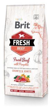 Brit Fresh Beef/Pumpkin Puppy Large 12 kg яловичина, гарбуз д/цуценят великих порід szr170991/530755 фото