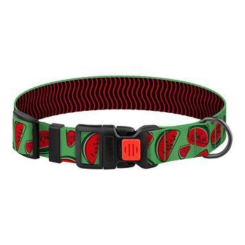 Нашийник для Собак BronzeDog Urban Fruits Нейлоновий з Пластиковою Пряжкою Кавун S brks50/8629 фото