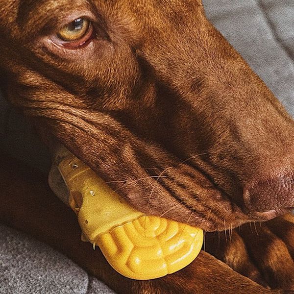 Іграшка для собак Zee.Dog Brain Fried hltdg1122 фото