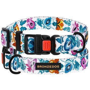 Нашийник для Собак BronzeDog Urban Folk нейлоновий з пластиковою пряжкою білий S brks50/1415Б/Т фото