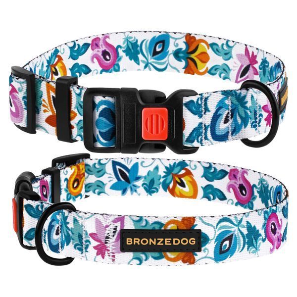 Нашийник для Собак BronzeDog Urban Folk нейлоновий з пластиковою пряжкою білий S brks50/1415Б/Т фото