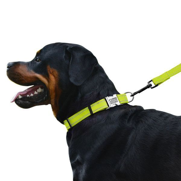 Нашийник для Собак BronzeDog Active Нейлоновий зі Світловідбиттям та Металевою Пряжкою Салатовий S brks32/1305/Т фото