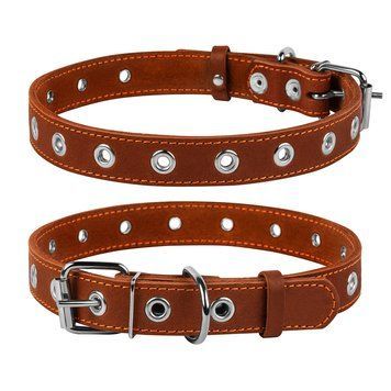 Нашийник безрозмірний CoLLaR clr02446 фото