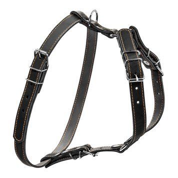 Шлея одинарна CoLLaR для дрібних і середніх собак clr06361 фото