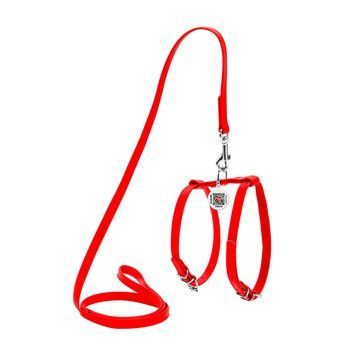 Шлея WAUDOG Glamour з QR паспортом з повідцем для котів і дрібних собак clr33993 фото