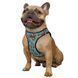 Шлея для Собак Sport Vest BronzeDog Кекси 3XS brks761/8626 фото 3