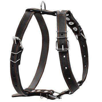 Шлея одинарна CoLLaR для середніх собак clr06381 фото