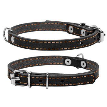 Нашийник одинарний CoLLaR clr00031 фото