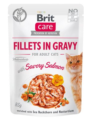 Brit Care Cat pouch 85g філе у соусі пікантний лосось 1111162663 фото