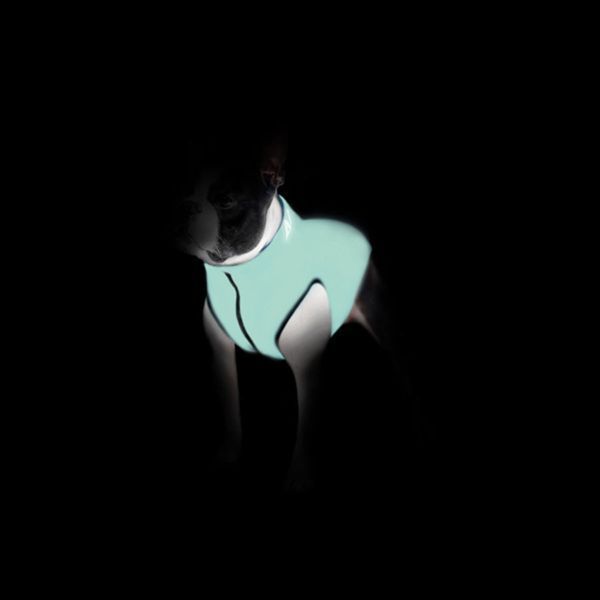 Курточка для собак AiryVest Lumi двостороння, світиться в темряві, розмір L 55, салатово-голуба clr2320 фото