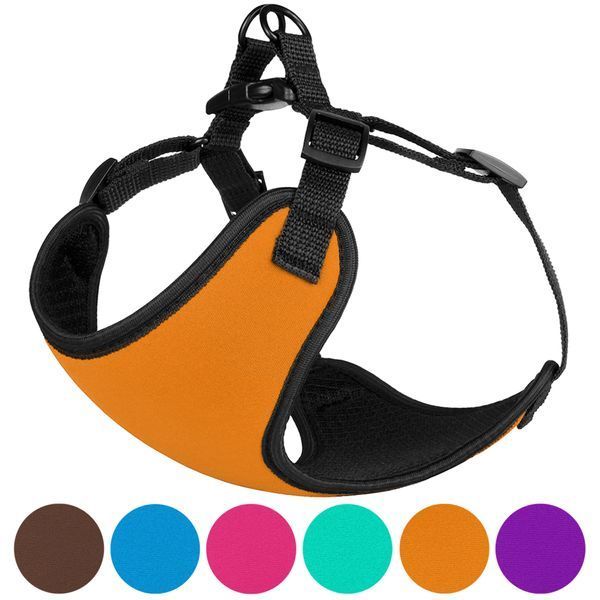 Шлея для Собак Дрібних Порід BronzeDog Sport Неопрен 3D Сітка Помаранчева XS brks7304Б/Т фото