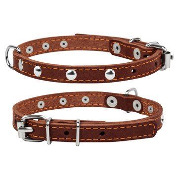 Нашийник одинарний CoLLaR з прикрасою clr00046 фото