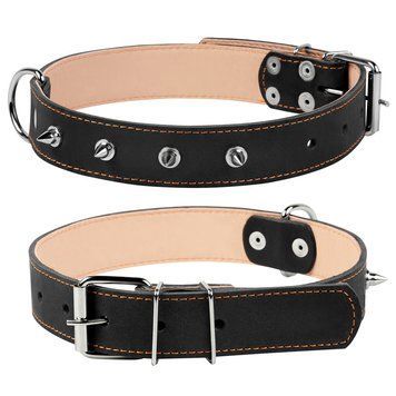 Нашийник подвійний CoLLaR з шипами clr02871 фото