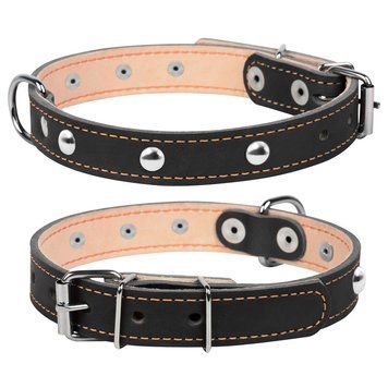 Нашийник подвійний CoLLaR з прикрасою clr00131 фото