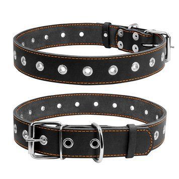 Нашийник безрозмірний CoLLaR clr02951 фото