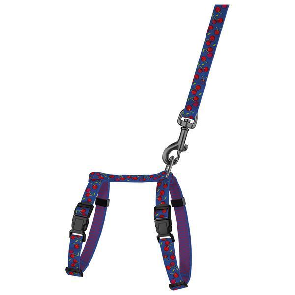 Шлея з Поводком для Котів та Дрібних Собак BronzeDog Urban Fruits Вишні 2XS brks57/8628 фото