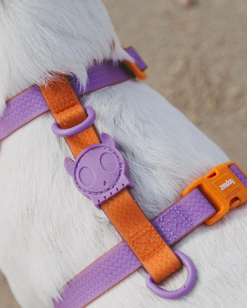 Шлейка для собак Zee.Dog Neopro Iris Розмір S hltdg26874 фото