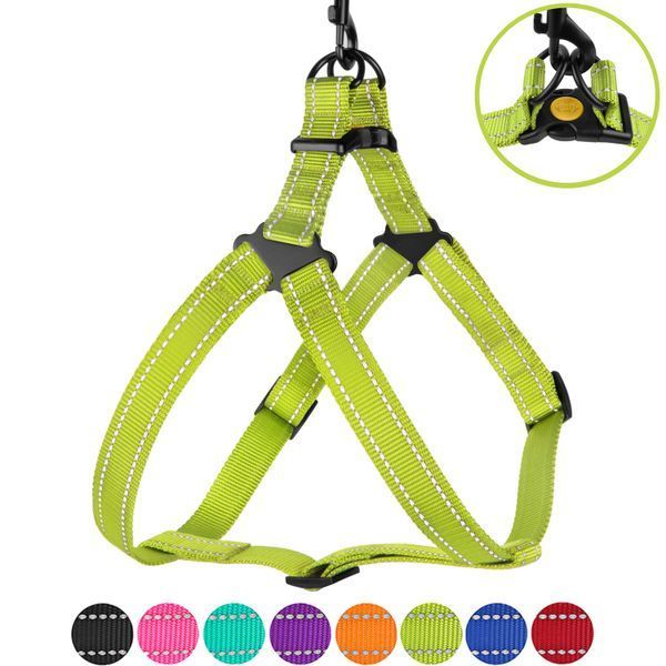 Шлея для Собак BronzeDog Active Нейлонова зі Світловідбиттям Cалатова S brks70/1305/Т фото