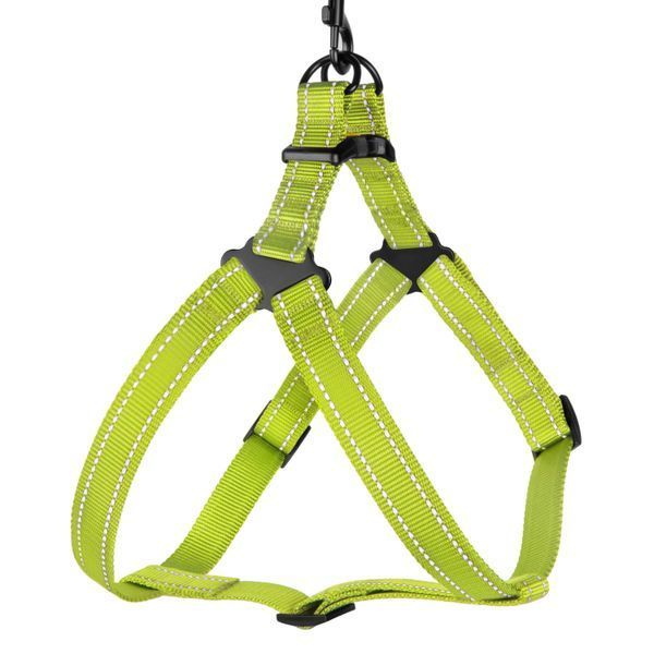 Шлея для Собак BronzeDog Active Нейлонова зі Світловідбиттям Cалатова S brks70/1305/Т фото