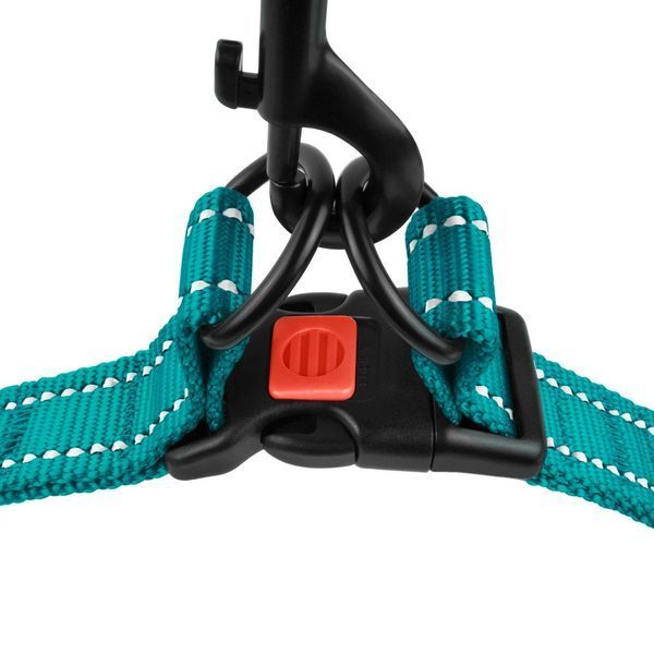Шлея для Собак BronzeDog Active Нейлонова зі Світловідбиттям Бірюзова S brks70/1225/Т фото