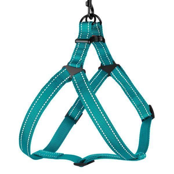 Шлея для Собак BronzeDog Active Нейлонова зі Світловідбиттям Бірюзова S brks70/1225/Т фото
