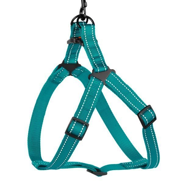 Шлея для Собак BronzeDog Active Нейлонова зі Світловідбиттям Бірюзова S brks70/1225/Т фото