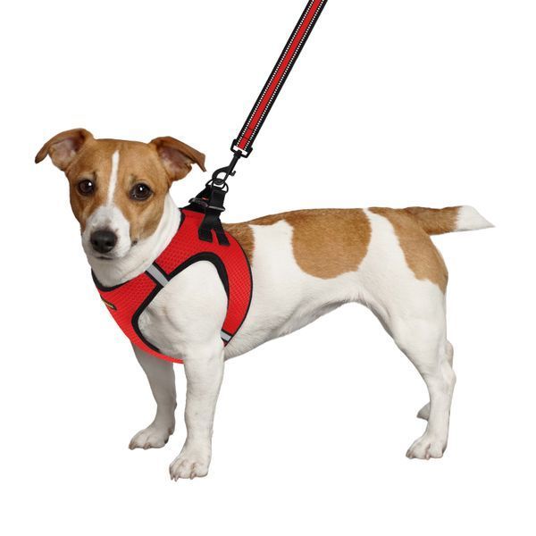 Шлея для собак Bronzedog Mesh Vest 3D сітка Червона 4XS brks83003/Т фото