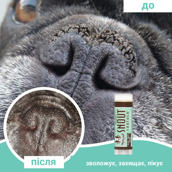 Бальзам для носика Snout Soother Natural Dog Company 4.25мл стік hltdgND-SNSR-01 фото