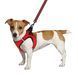 Шлея для собак Bronzedog Mesh Vest 3D сітка Червона 4XS brks83003/Т фото 3