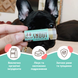 Бальзам для носика Snout Soother Natural Dog Company 4.25мл стік hltdgND-SNSR-01 фото 2