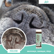 Бальзам для носика Snout Soother Natural Dog Company 4.25мл стік hltdgND-SNSR-01 фото 5