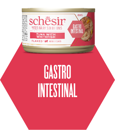 Gastro Intestinal