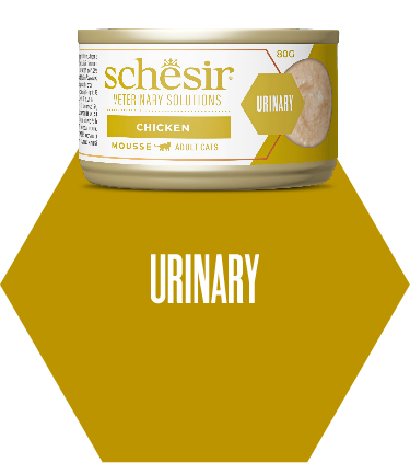 Urinary